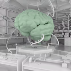 BRAIN #1689