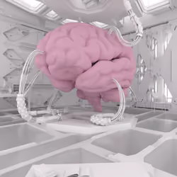 BRAIN #482