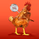 Roasted Chickn
