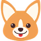 Corgi