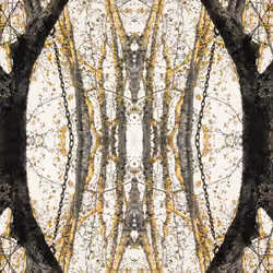 Eclosion #3