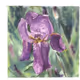 Flowers of Life V3