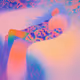 Candyverse