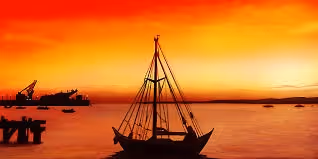 zuriyyk's Collection