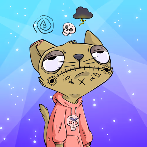 ElectroCatz #24