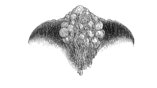 Item #2000000000000000003 Media