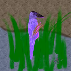 Premature Bird