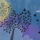 Bugs
