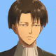 LEVI007