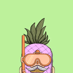 PINO #262