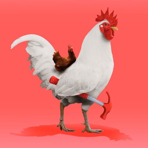 roostr #5724