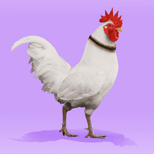 roostr #3859