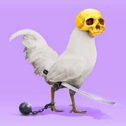 roostr #5742