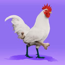 4954