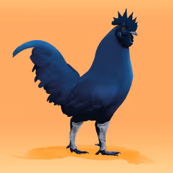 roostr #6878