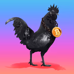 roostr #7837
