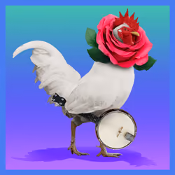 roostr #6414
