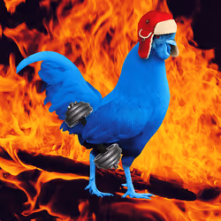 10428