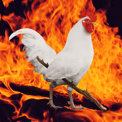 8796