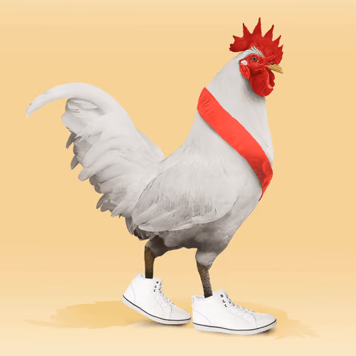 roostr #3854