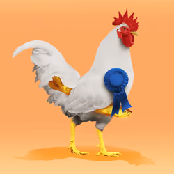 roostr #1522