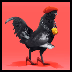 roostr #701
