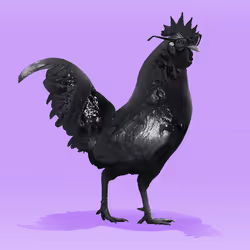 3359