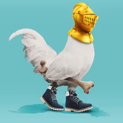 504