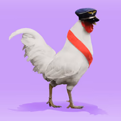 roostr #3343
