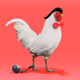 roostr #5801