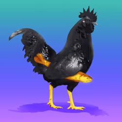 roostr #10075