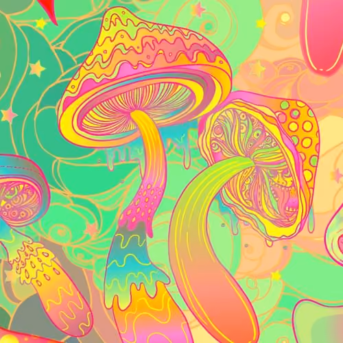 MagicJungle