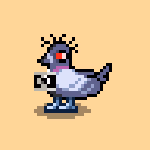 Pigeon #660