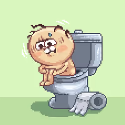 Toilet FIRAT