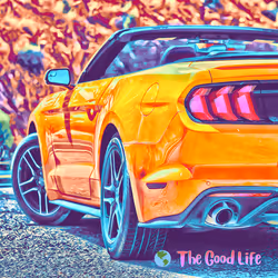 TGL 11