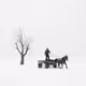 Horses of Anatolia