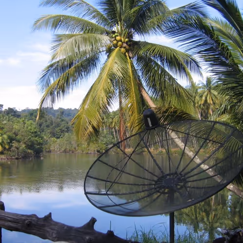 Paradise - 33RaG0UJed