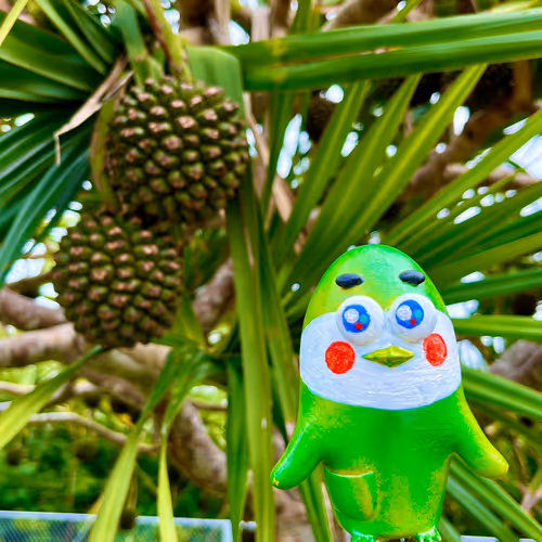 Cande's Adventure in Okinawa