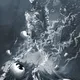 Monochaos