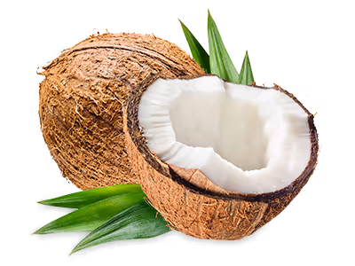 Coconut