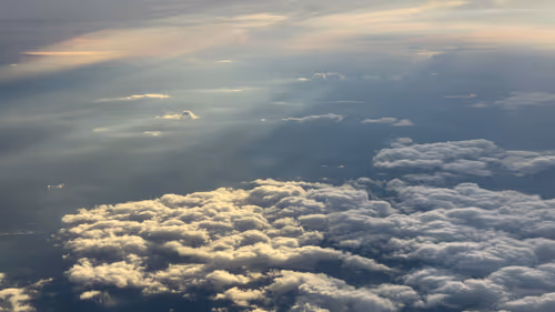 Item #2000000000000000008 Media