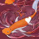 Abstract Koi