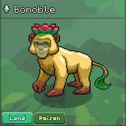 Bonoble #2703