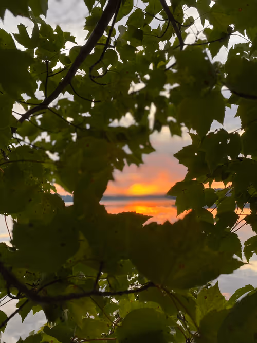 Item #1000000000000000002 Media