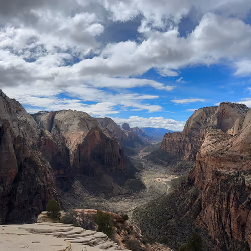 danielxkillleen's Collection