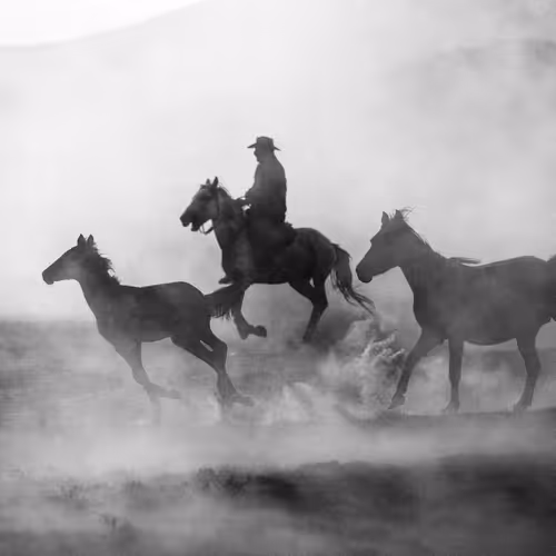 HORSES