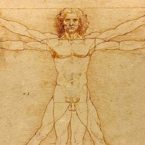 Vinci