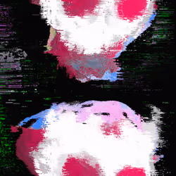 55