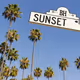 Los Angeles Film & Web3 Wednesday Video Live Podcast Caravan Swim Club