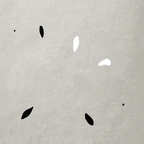 Item #4000000000000000008 Media